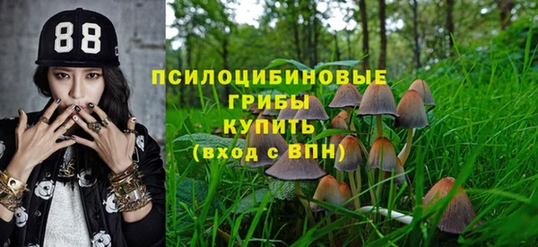 бошки Каменка