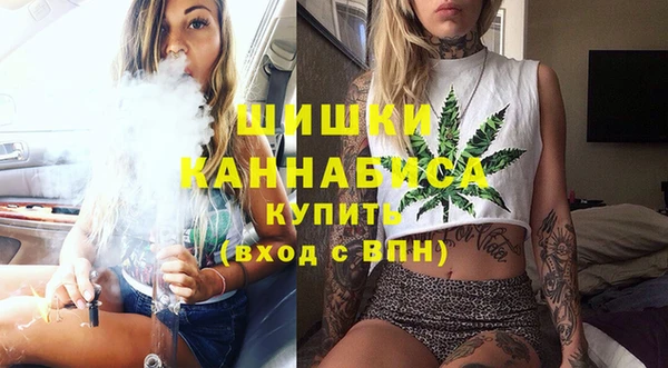 ешки Каменногорск