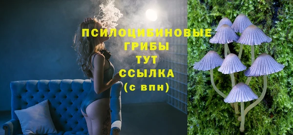 ешки Каменногорск