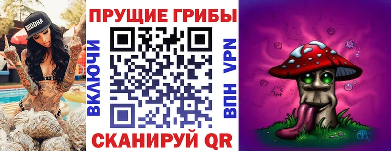 Купить где  Верея  Галлюциногенные грибы мицелий 